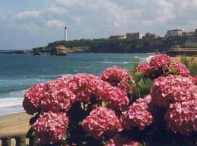 biarritz8.jpg (21315 octets)